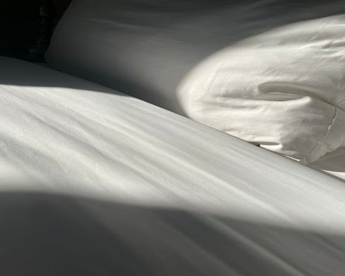 A tidy minimalist bedroom with soft ambient morning light falling on clean neutral sheets